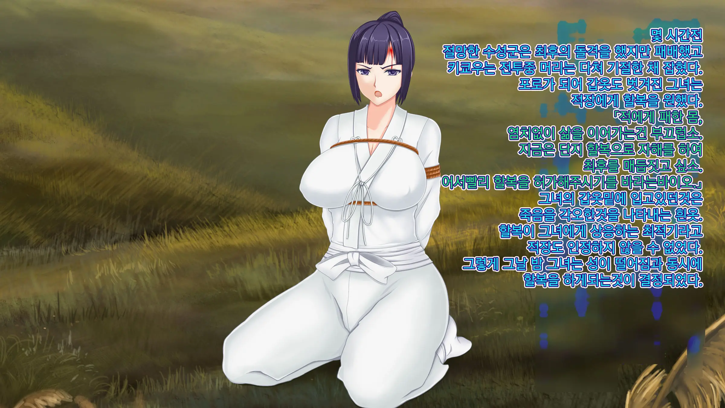 【コミッション】女武者切腹